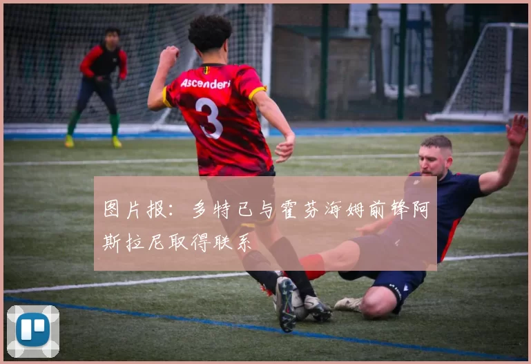 图片报：多特已与霍芬海姆前锋阿斯拉尼取得联系