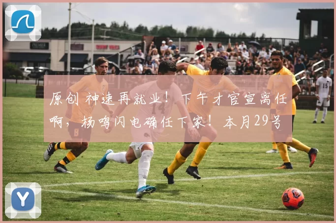 原创 神速再就业！下午才官宣离任啊，杨鸣闪电确任下家！本月29号首秀