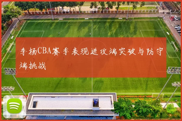 李杨CBA赛季表现进攻端突破与防守端挑战