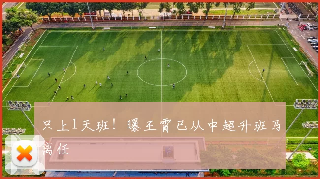 只上1天班！曝王霄已从中超升班马离任