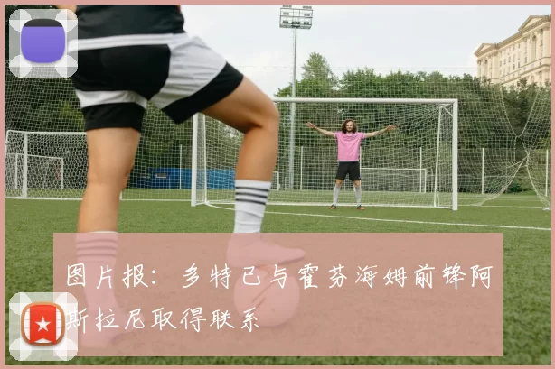 图片报：多特已与霍芬海姆前锋阿斯拉尼取得联系