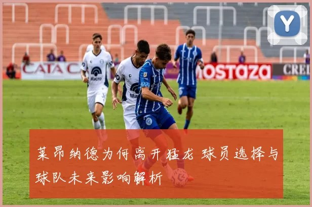 莱昂纳德为何离开猛龙 球员选择与球队未来影响解析