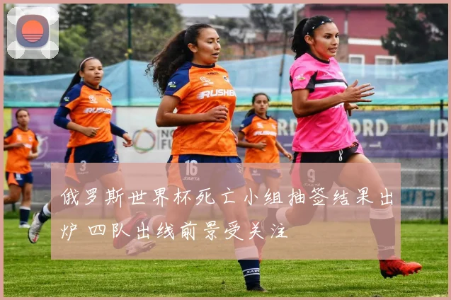 俄罗斯世界杯死亡小组抽签结果出炉 四队出线前景受关注