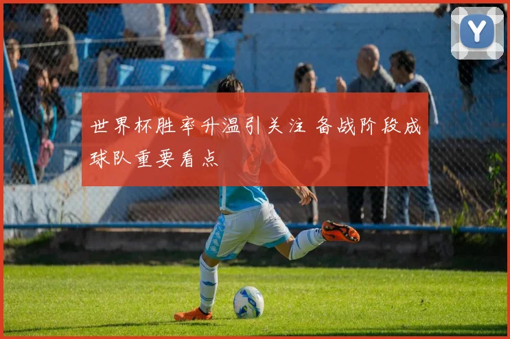 世界杯胜率升温引关注 备战阶段成球队重要看点